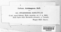 Image Associated With the Occurence